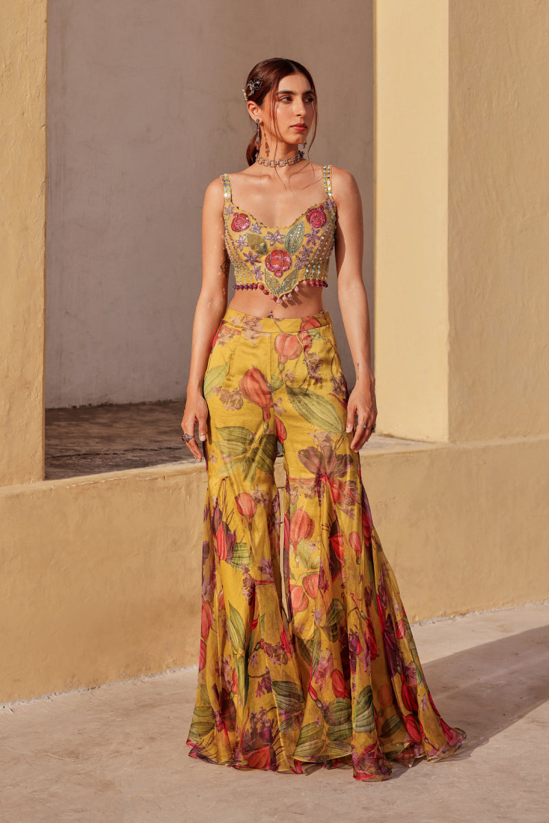 Bageecha 2.0 sharara set