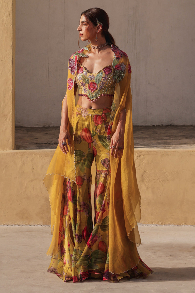 Bageecha 2.0 sharara set