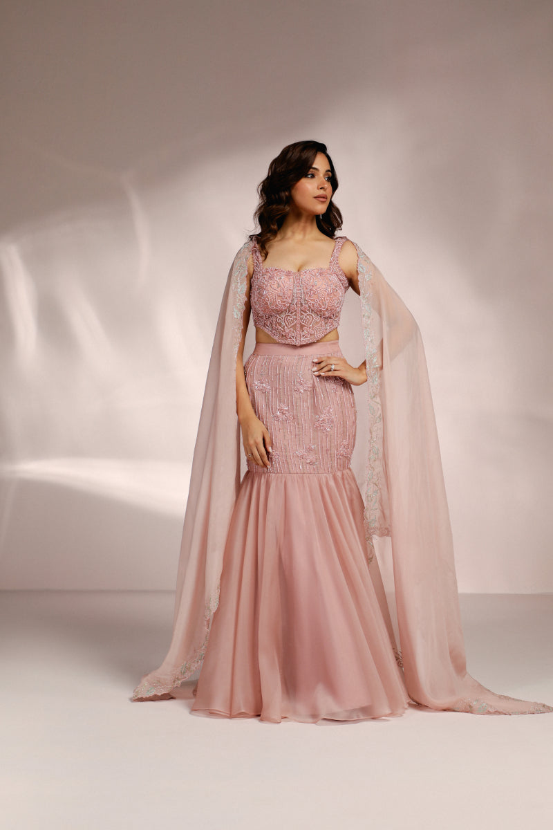 Pastel Pink Fishcut Saree With Corset Bustier And Dupatta Set