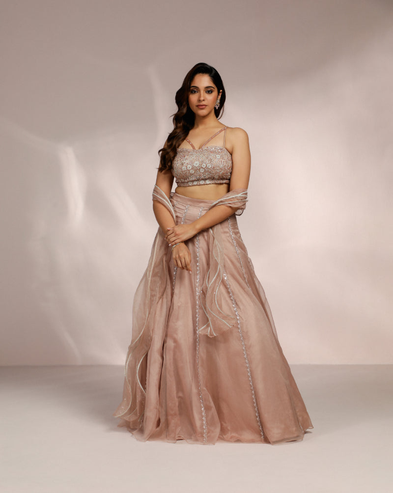 Blush Pink Blouse With Skirt And Structured Dupatta Set