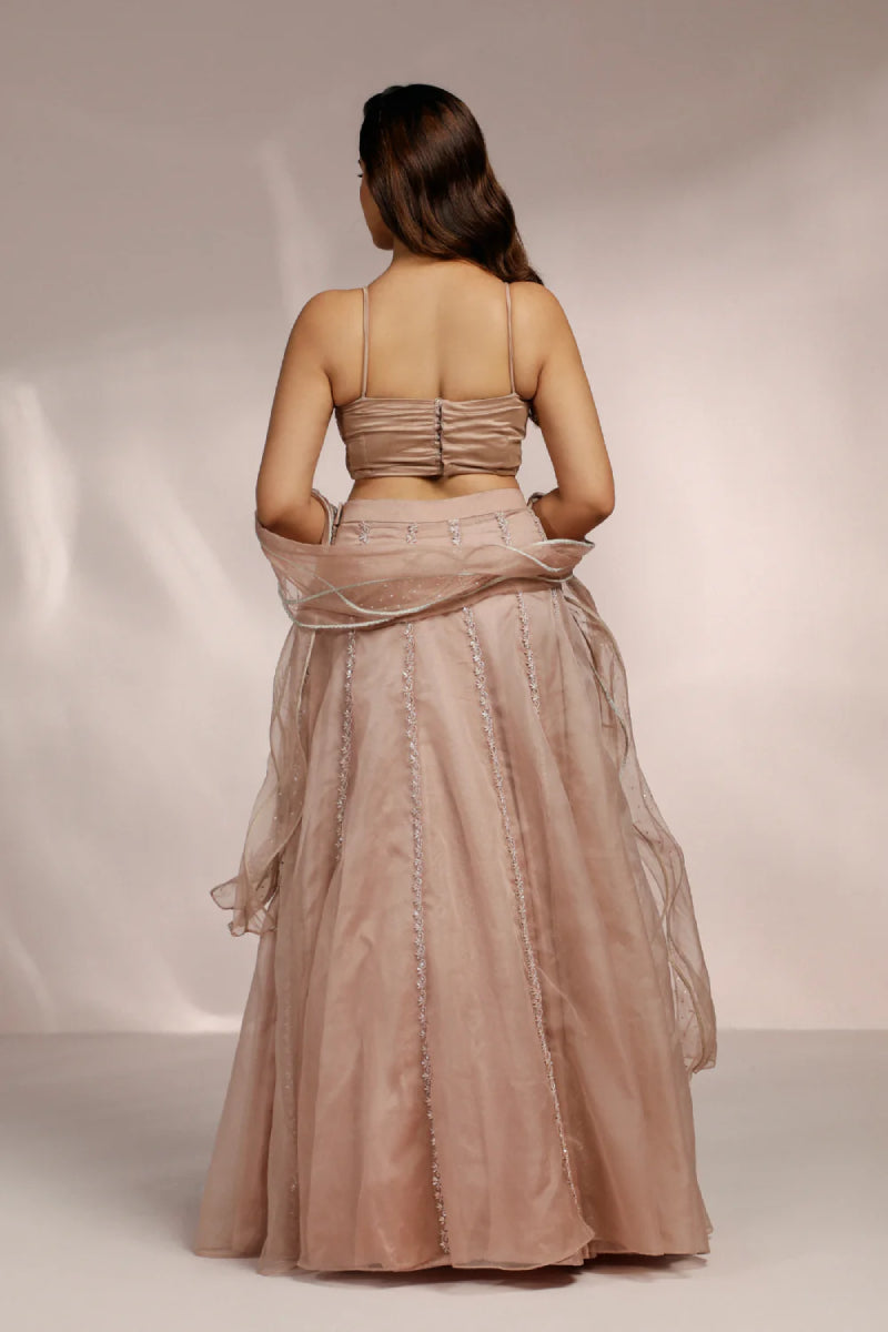 Blush Pink Blouse With Skirt And Structured Dupatta Set