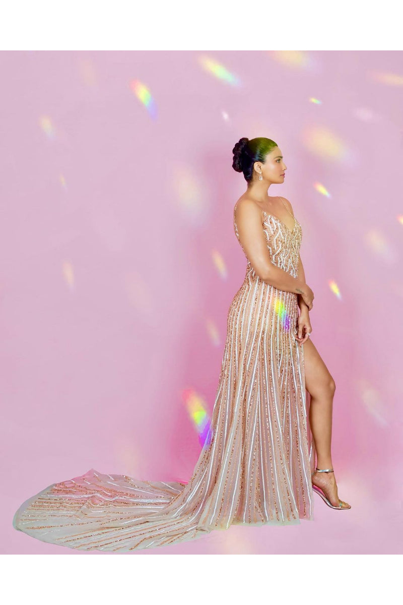 Grey Embroidered Gown