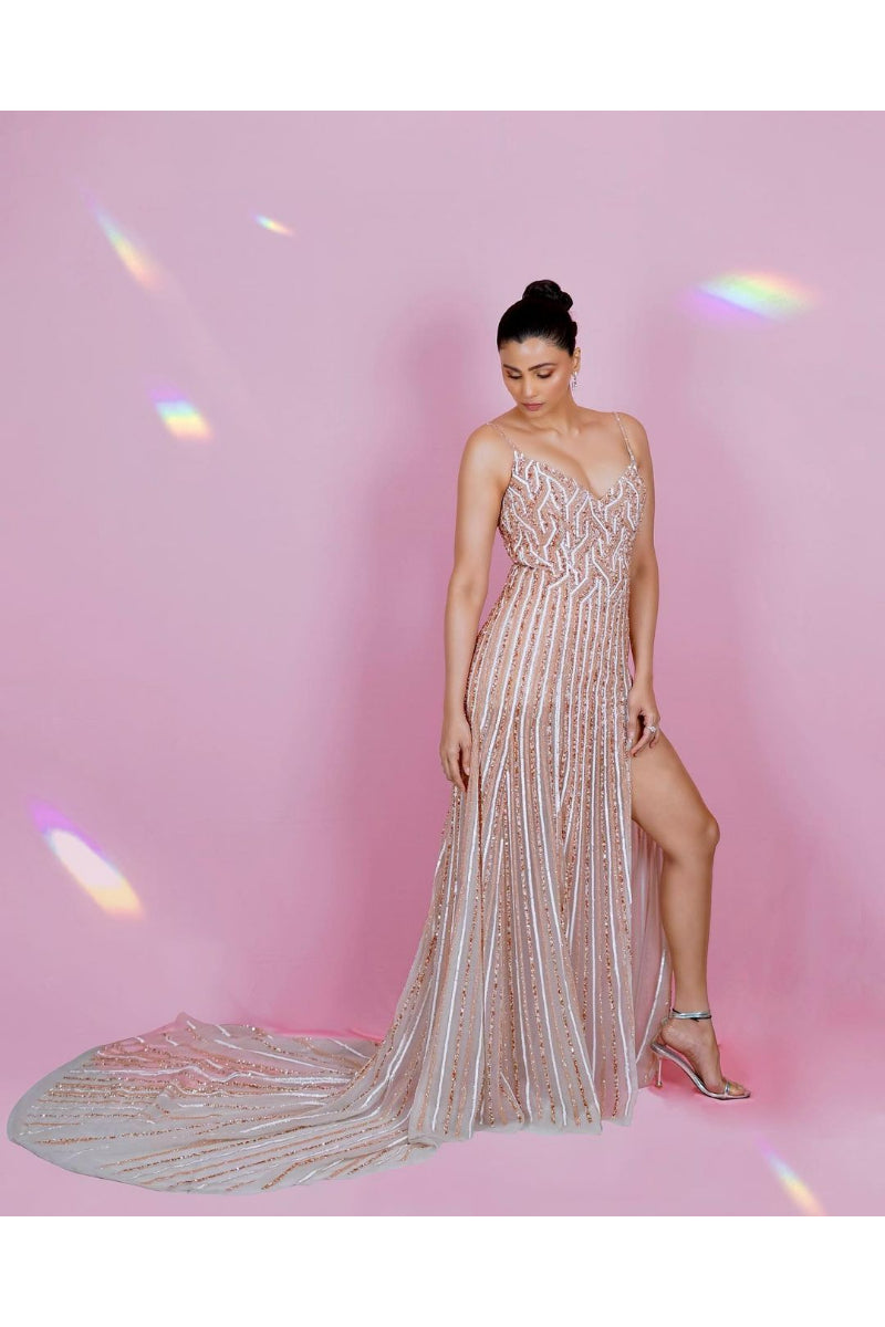 Grey Embroidered Gown