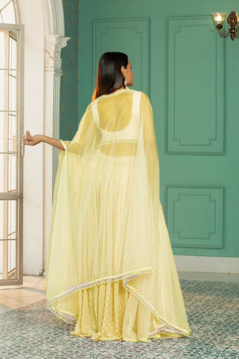 Sharara set