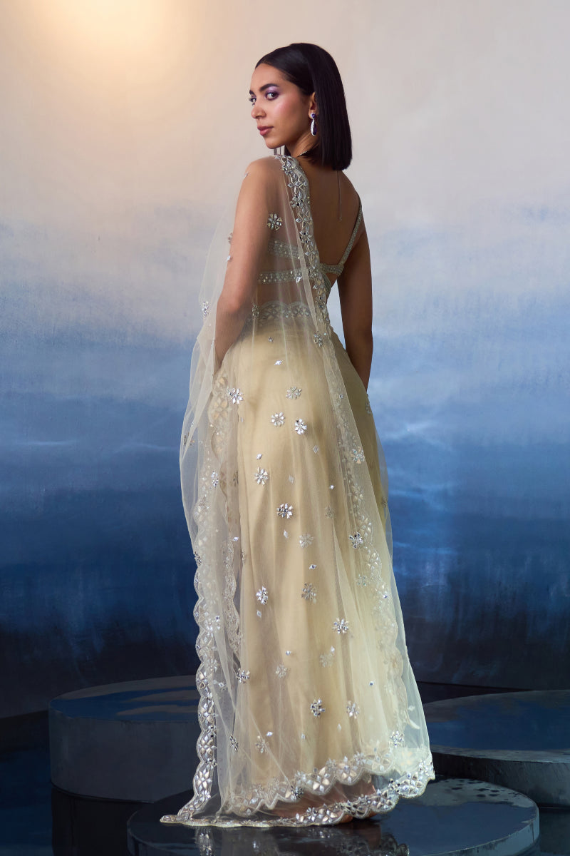 Gold Net Saree