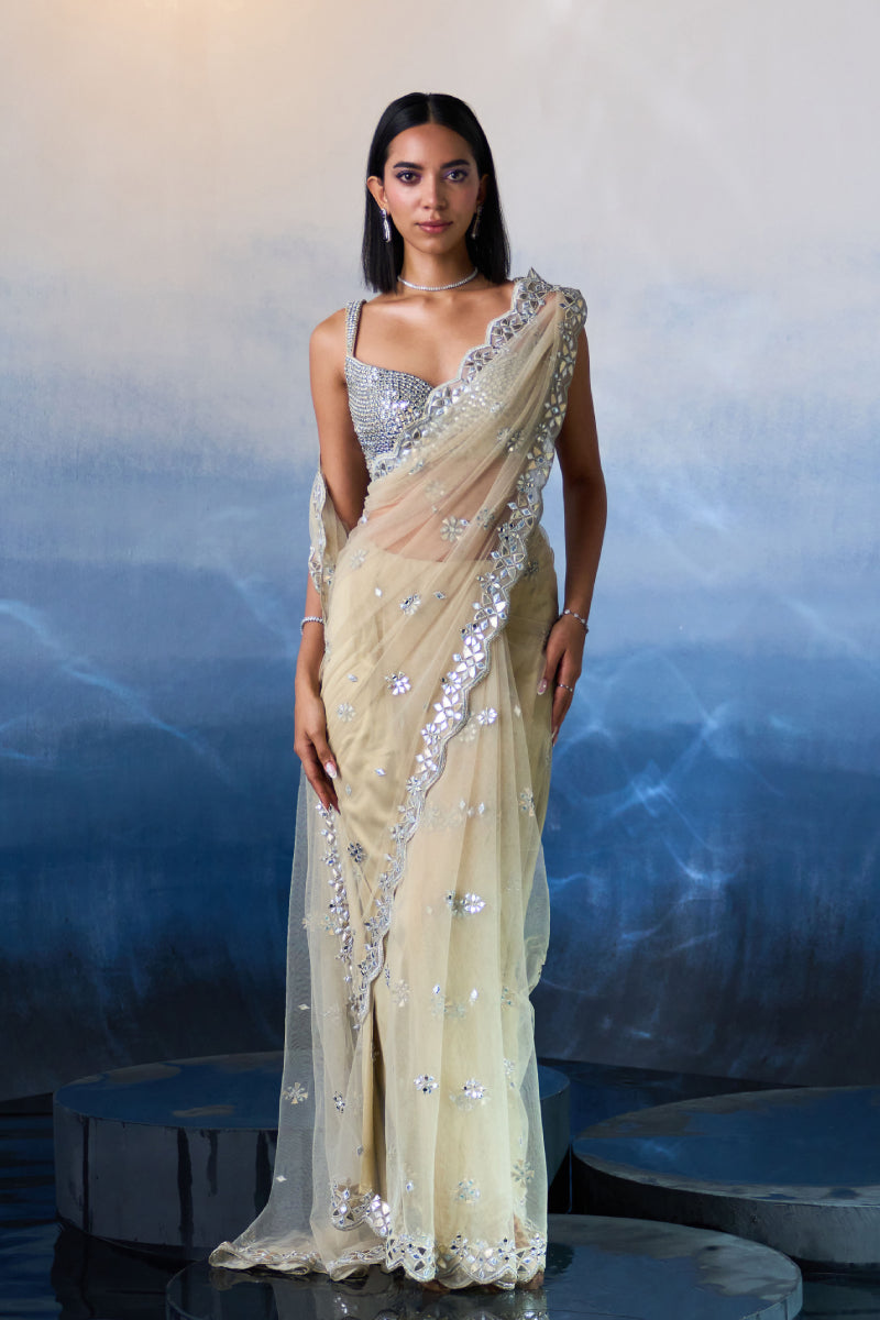 Gold Net Saree
