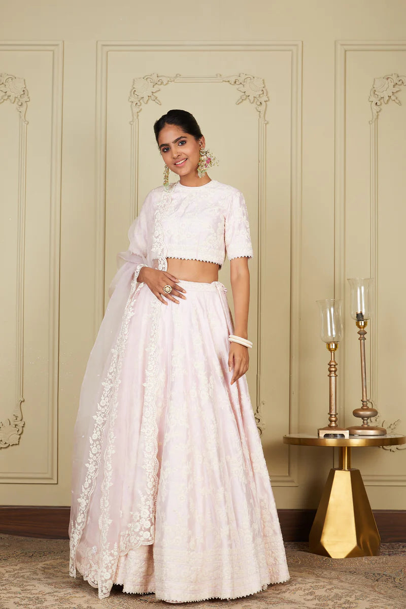 Myra Pearl Blush Lehenga With Blouse And Dupatta