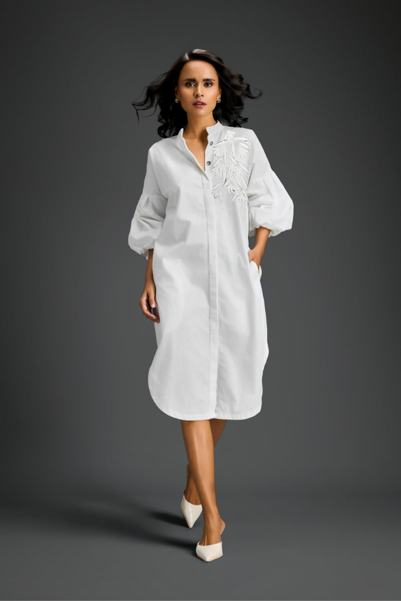 Shirt Dress
