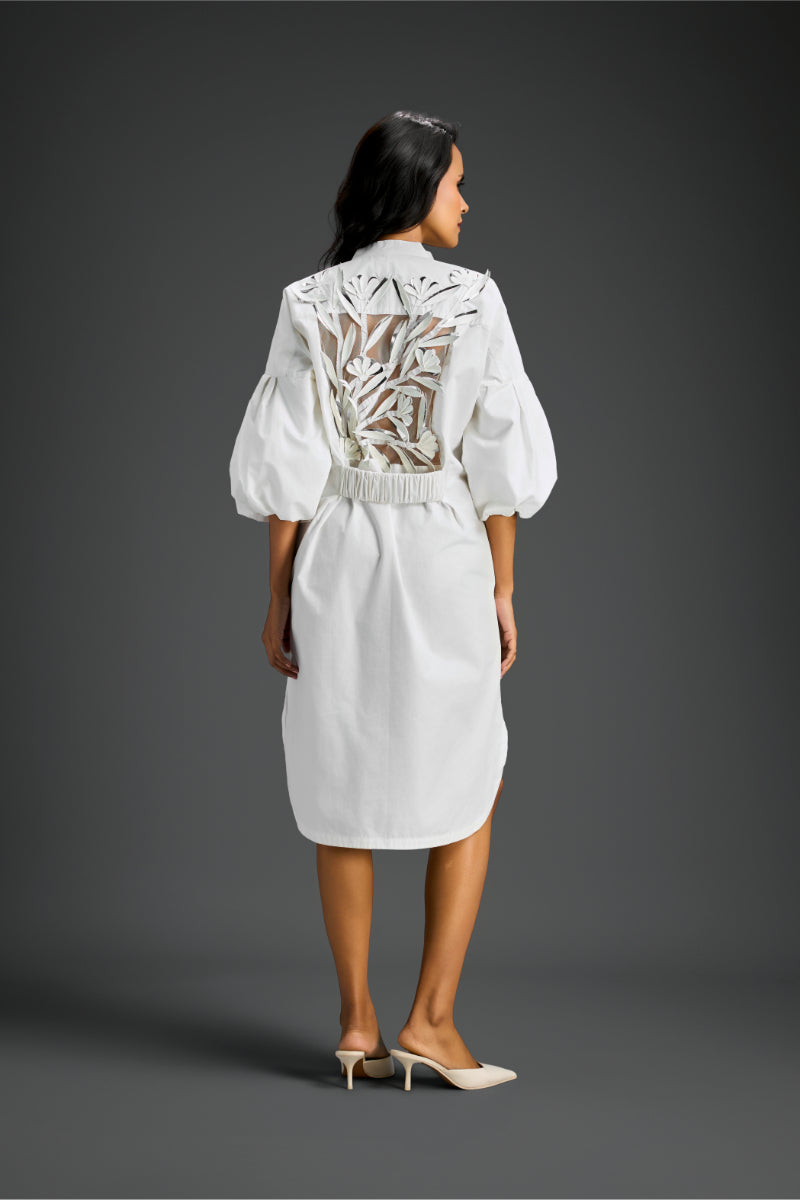 Shirt Dress