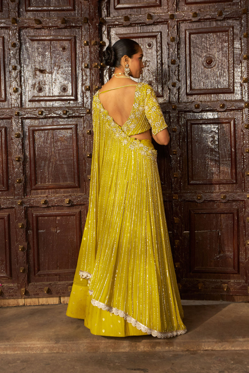 Jashnaa-E-Bahaar Lehenga Set