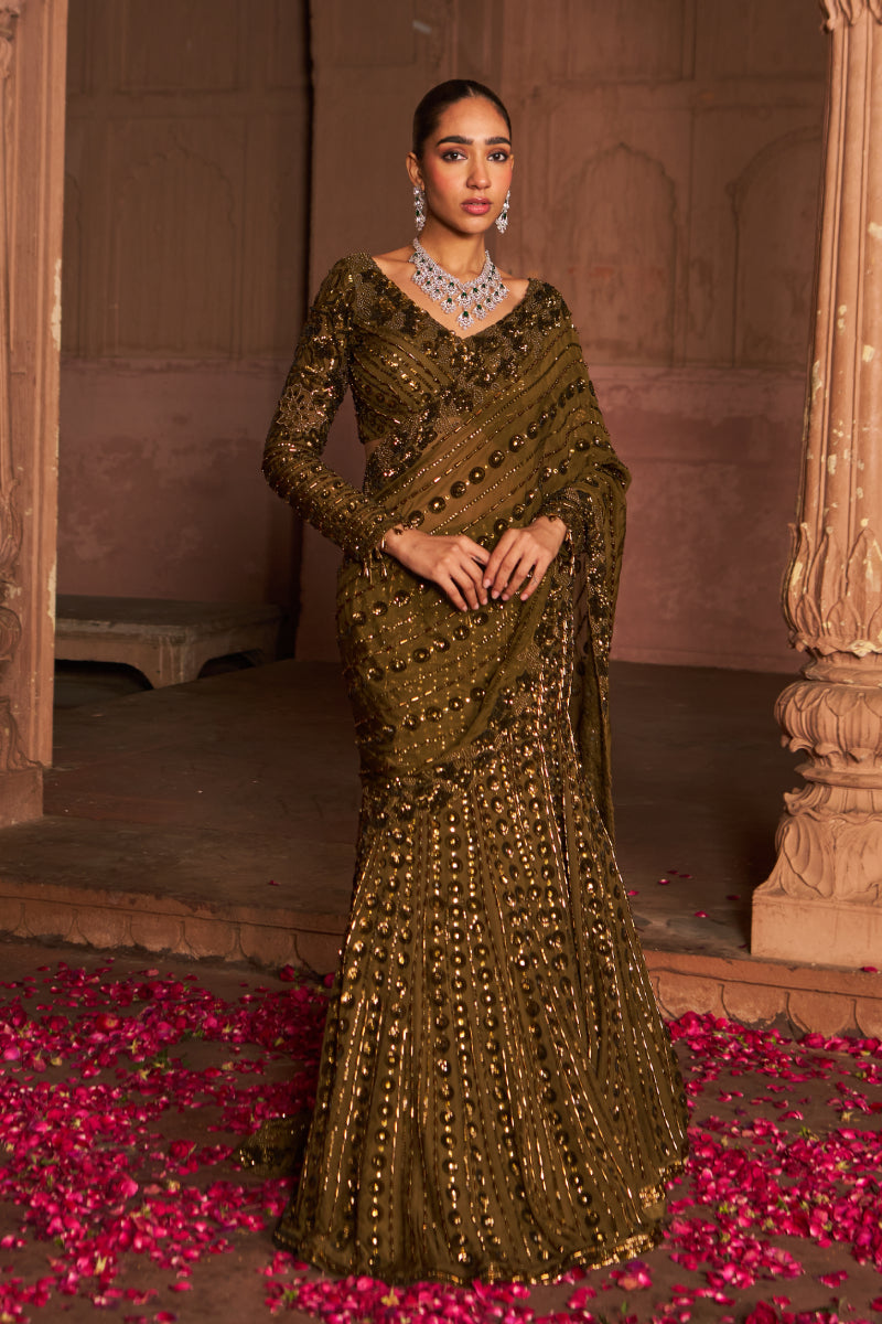 Baagh Baagh Saree Lehenga Set