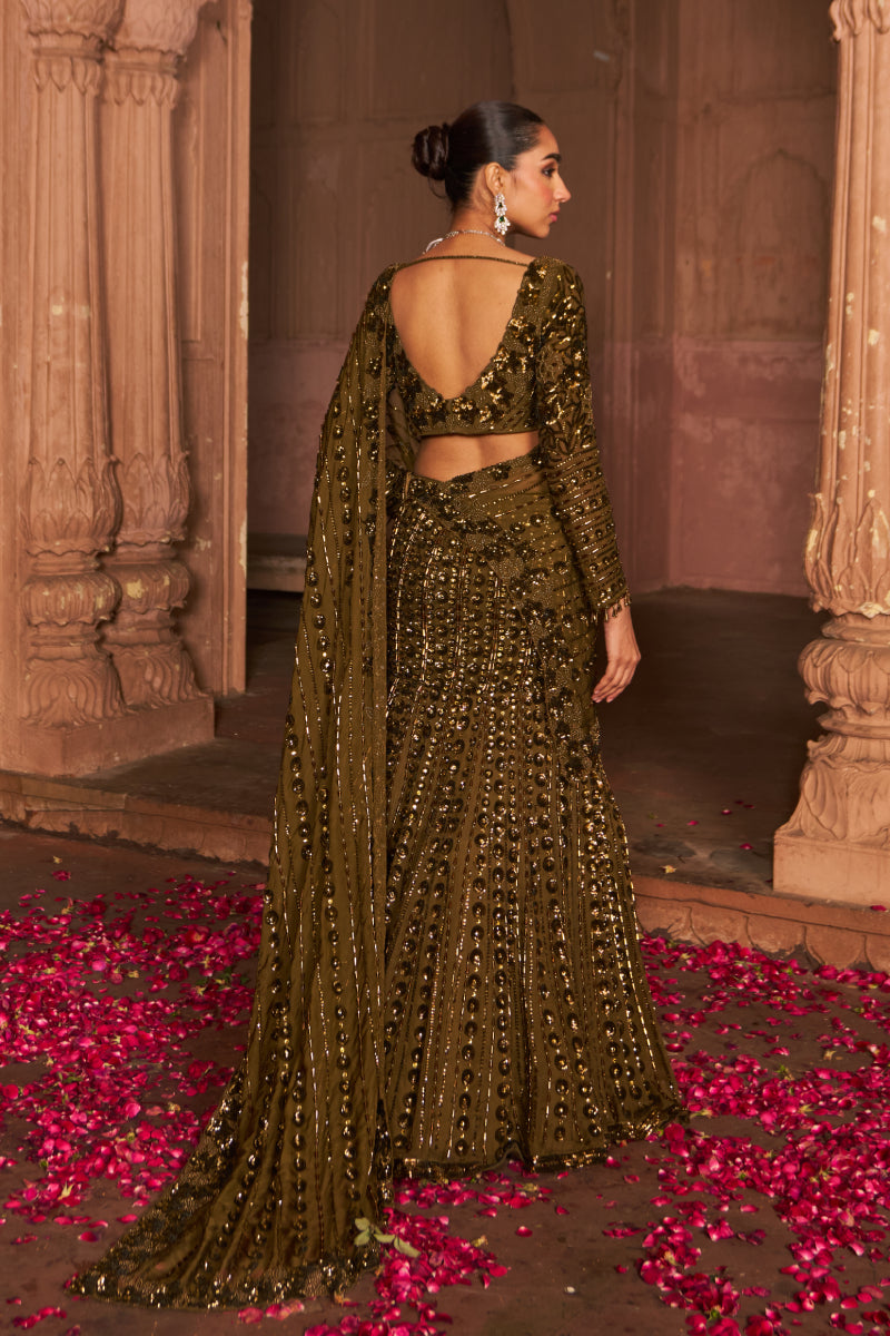 Baagh Baagh Saree Lehenga Set