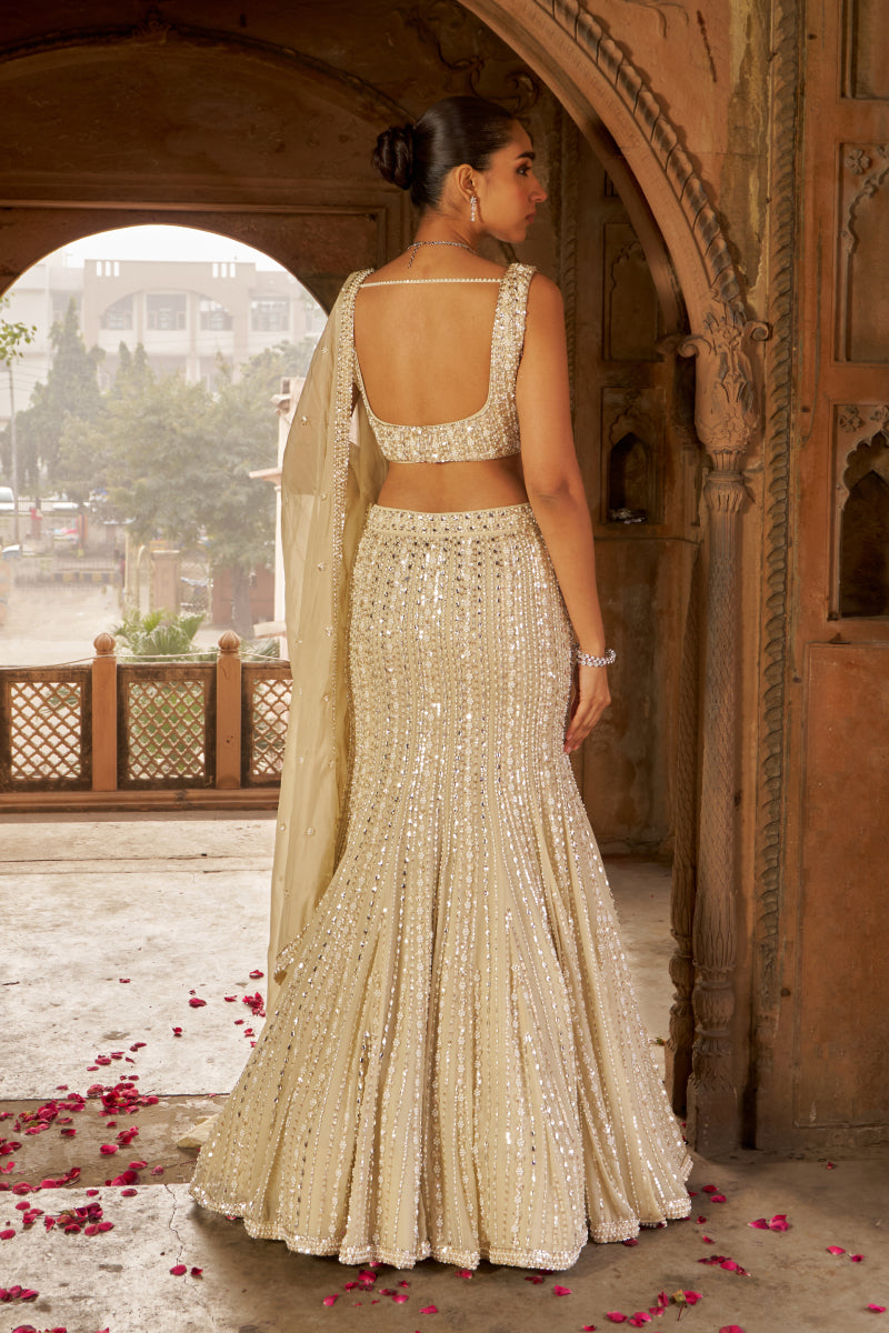 Jashna-E-Dill Lehenga Set