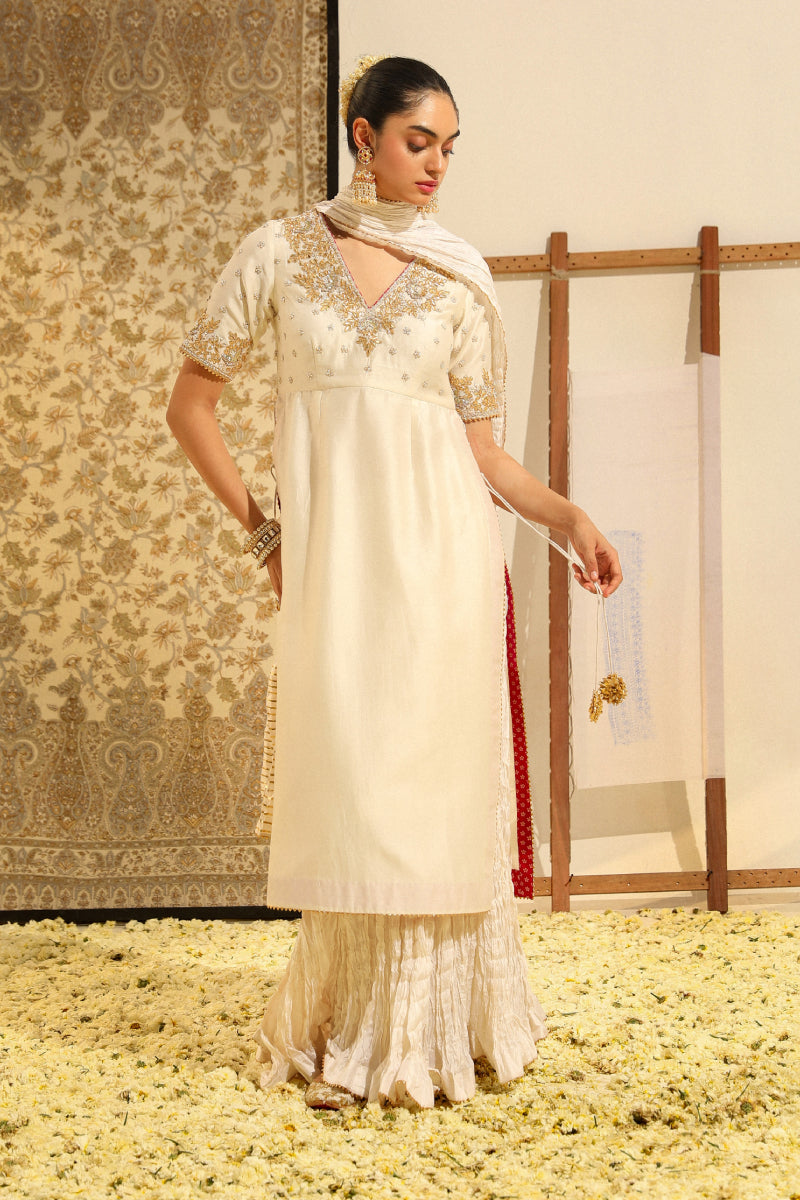 Shahnawaz-Straight Kurta With Crushed Silk Skirt And Crushed Dupatta