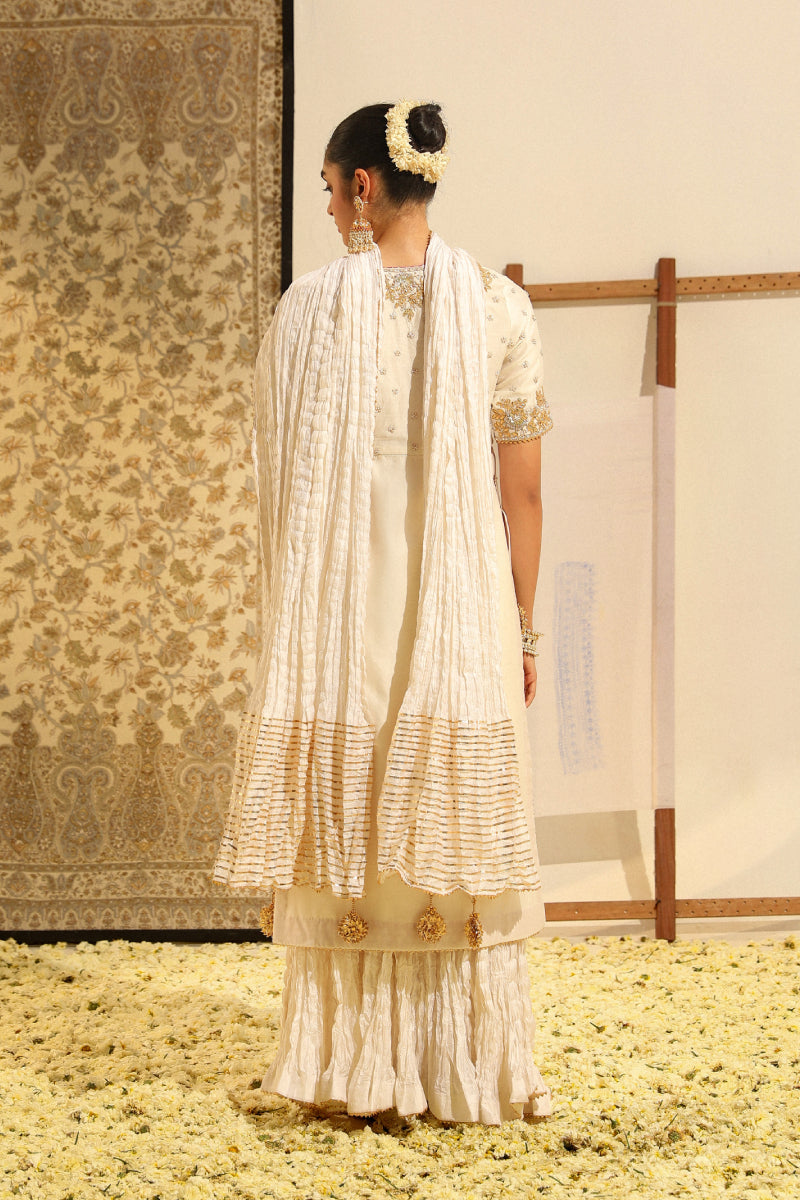 Shahnawaz-Straight Kurta With Crushed Silk Skirt And Crushed Dupatta