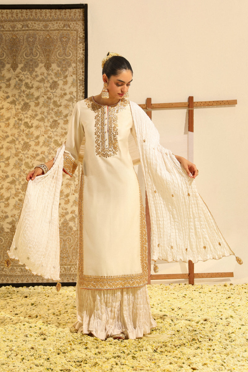 Abbas-Straight Kurta With Crushed Silk Skirt And Crushed Dupatta