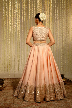 Pink Aasiya Lehenga Set- back view