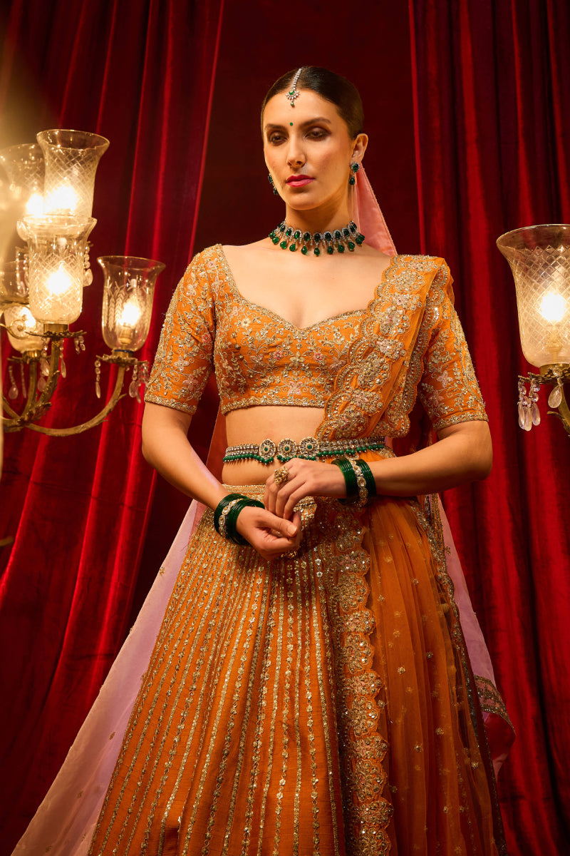 Rust Raw Silk Hand & Machine Embroidered Lehenga Set