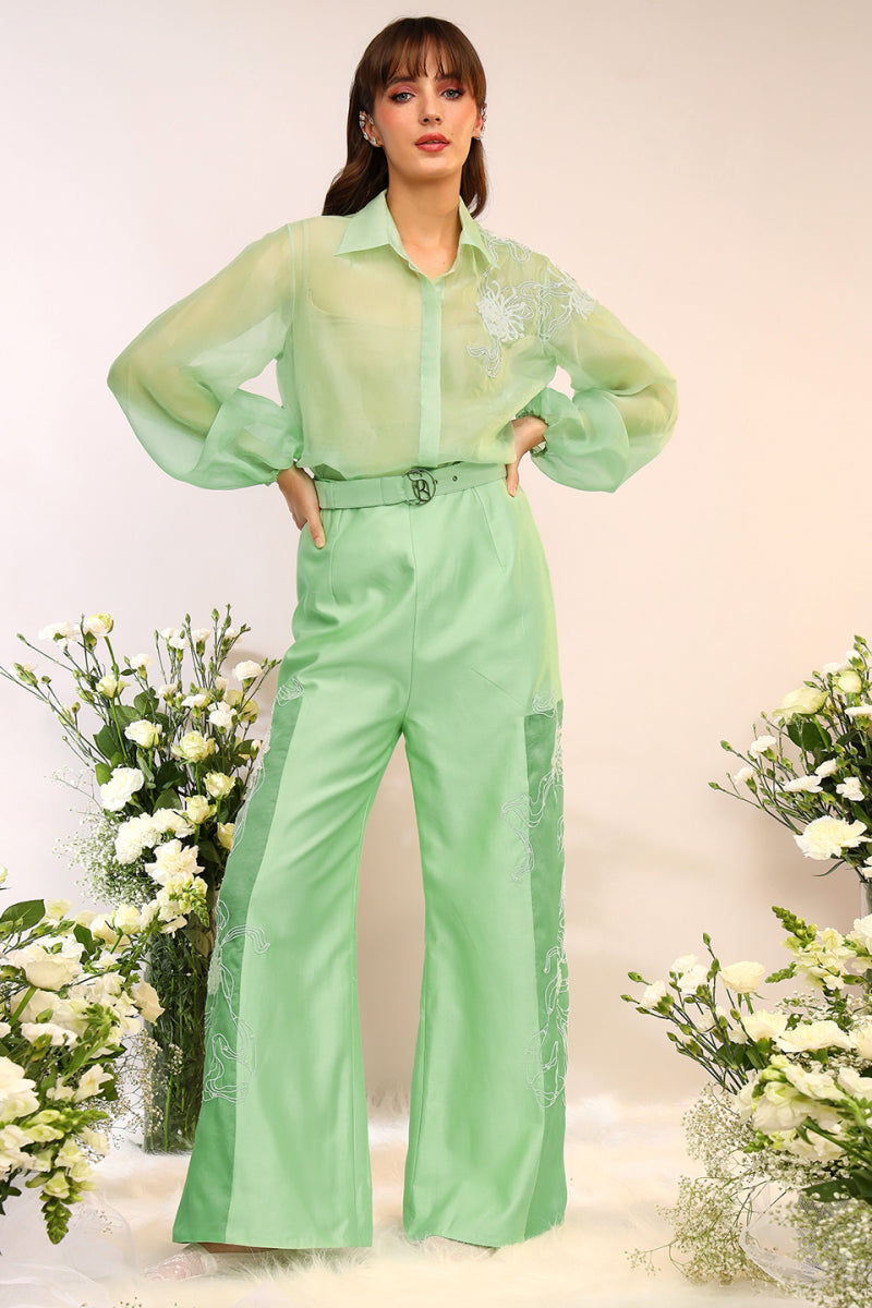 Organza Sheer Co-ord