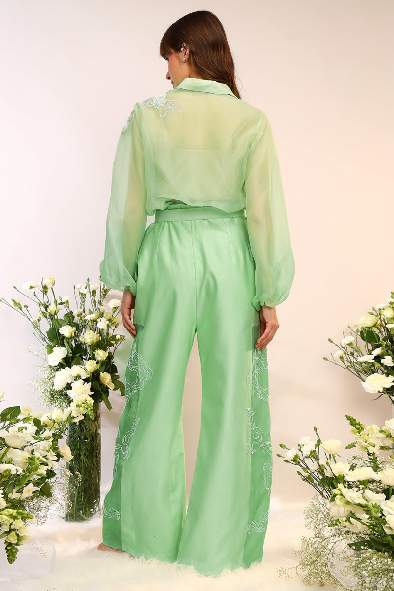 Organza Sheer Co-ord