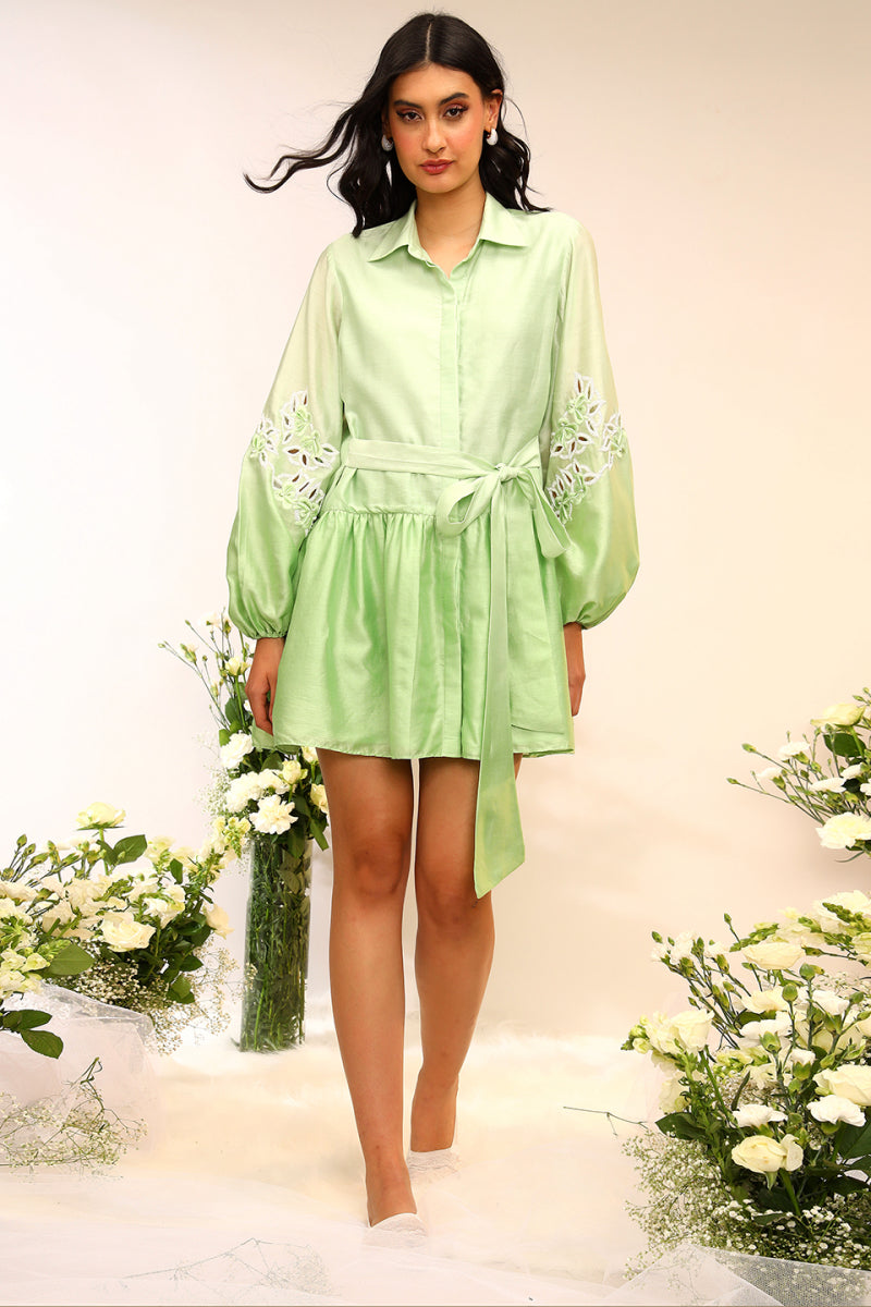 Shirt Dress