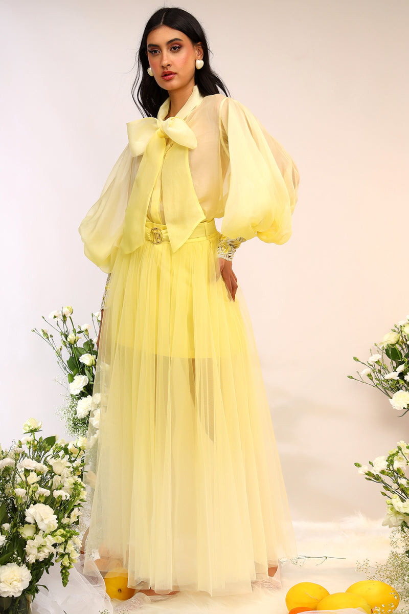 Organza Tie Up Shirt & Tule Skirt
