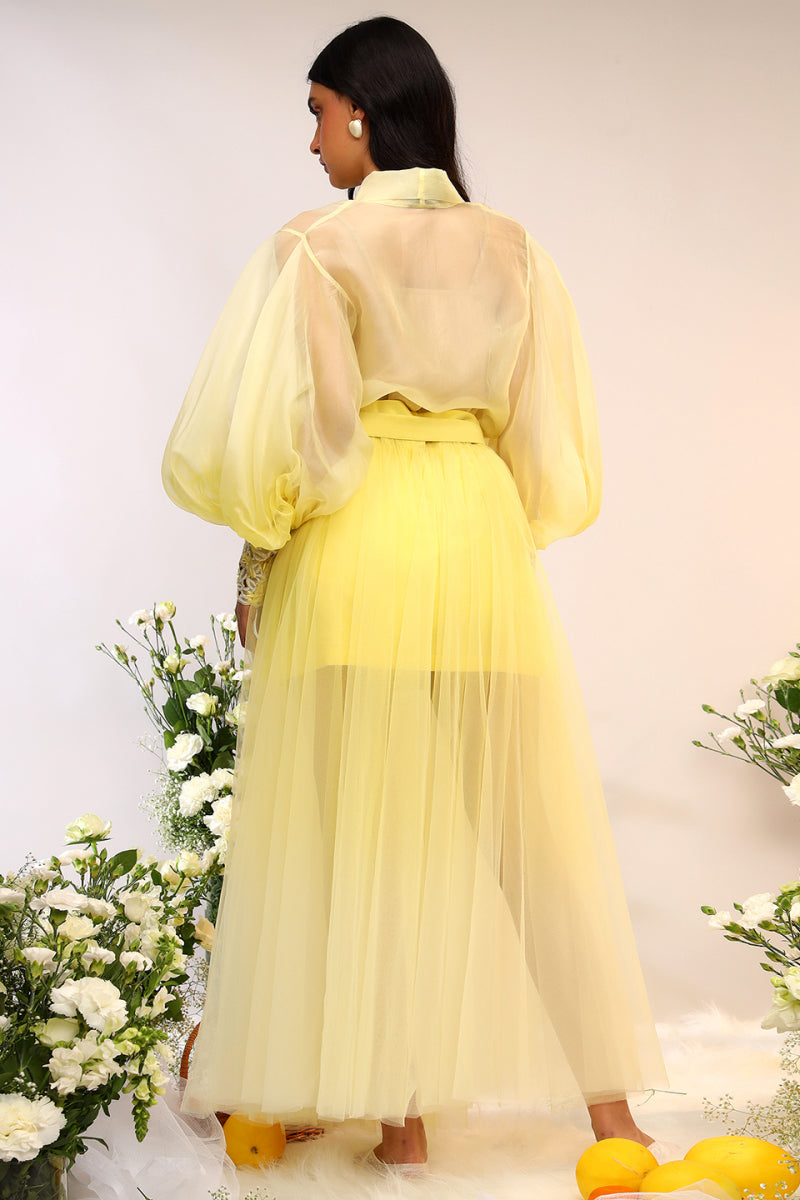 Organza Tie Up Shirt & Tule Skirt