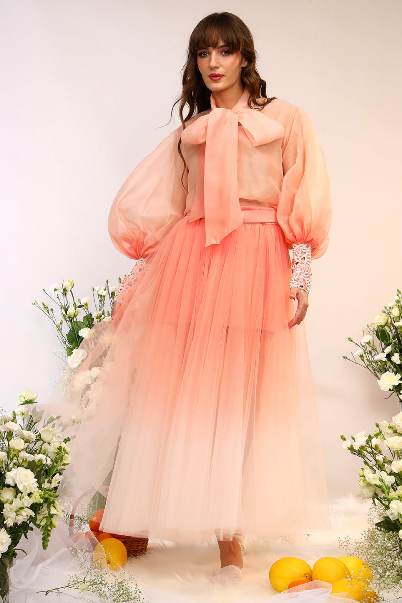 Organza Tie Up Shirt & Tule Skirt