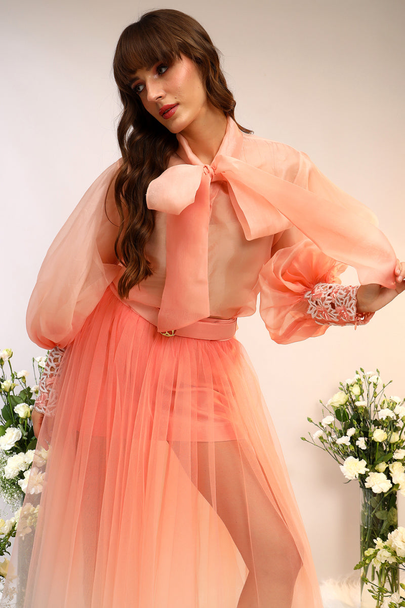 Organza Tie Up Shirt & Tule Skirt
