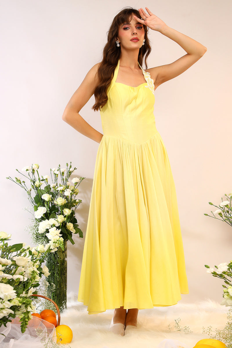 Halter Neck Dress