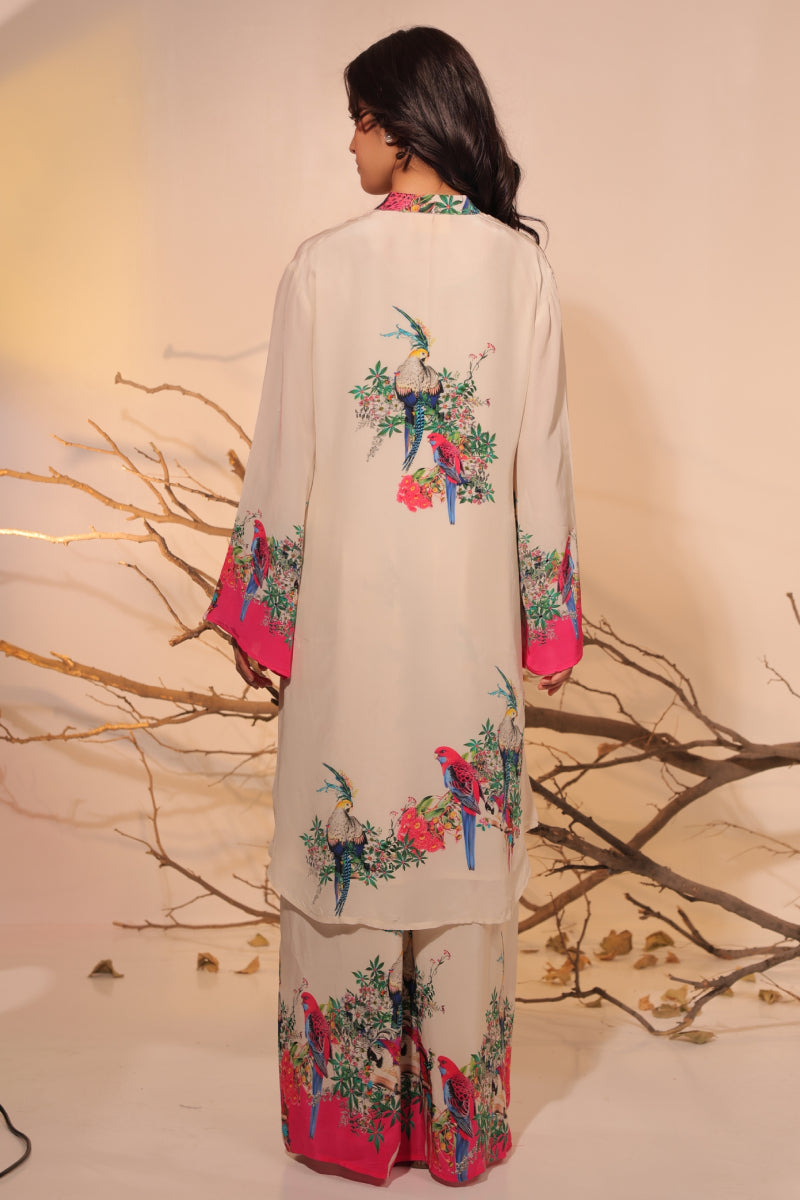 Parinda Tunic set