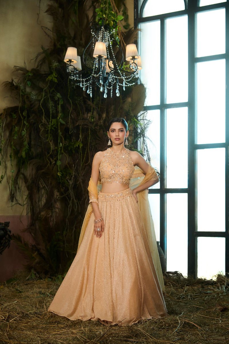 Mango Lehenga, Crop Top, Dupatta