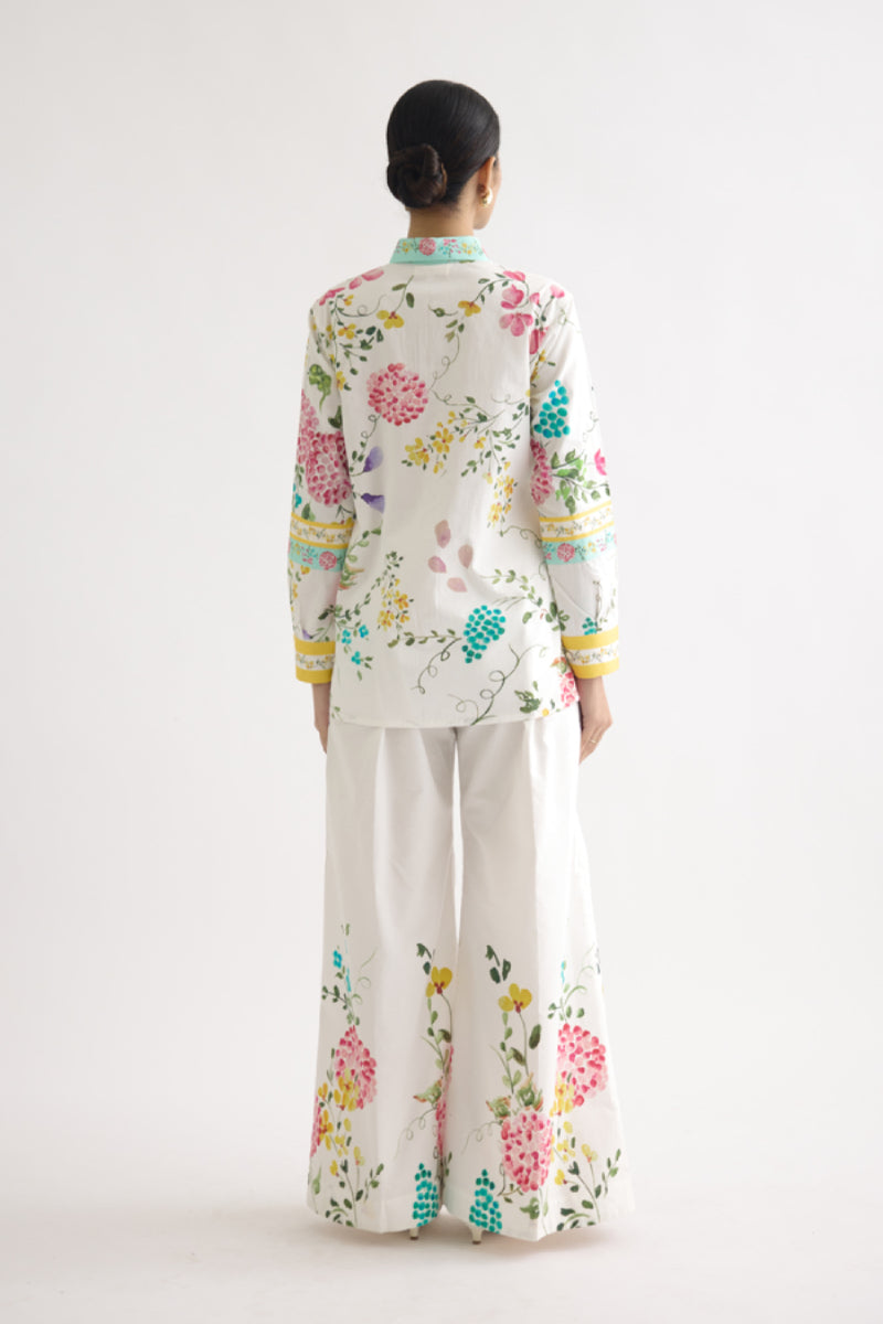 Aster Co-ord