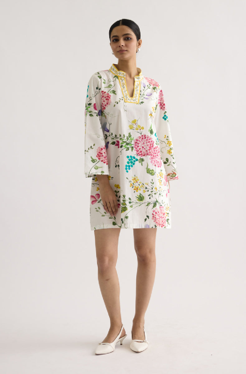 Petunia Mini Dress – AGASHE