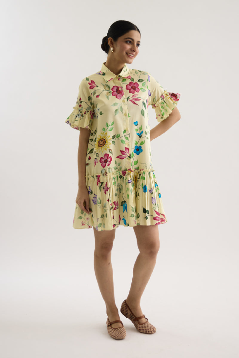 Petunia Mini Dress – AGASHE