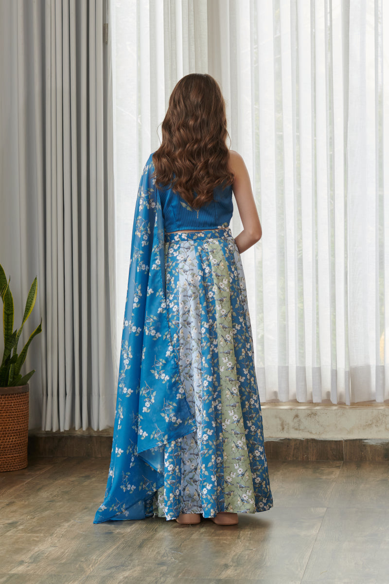 Indra Blue Kali Lehenga Kids