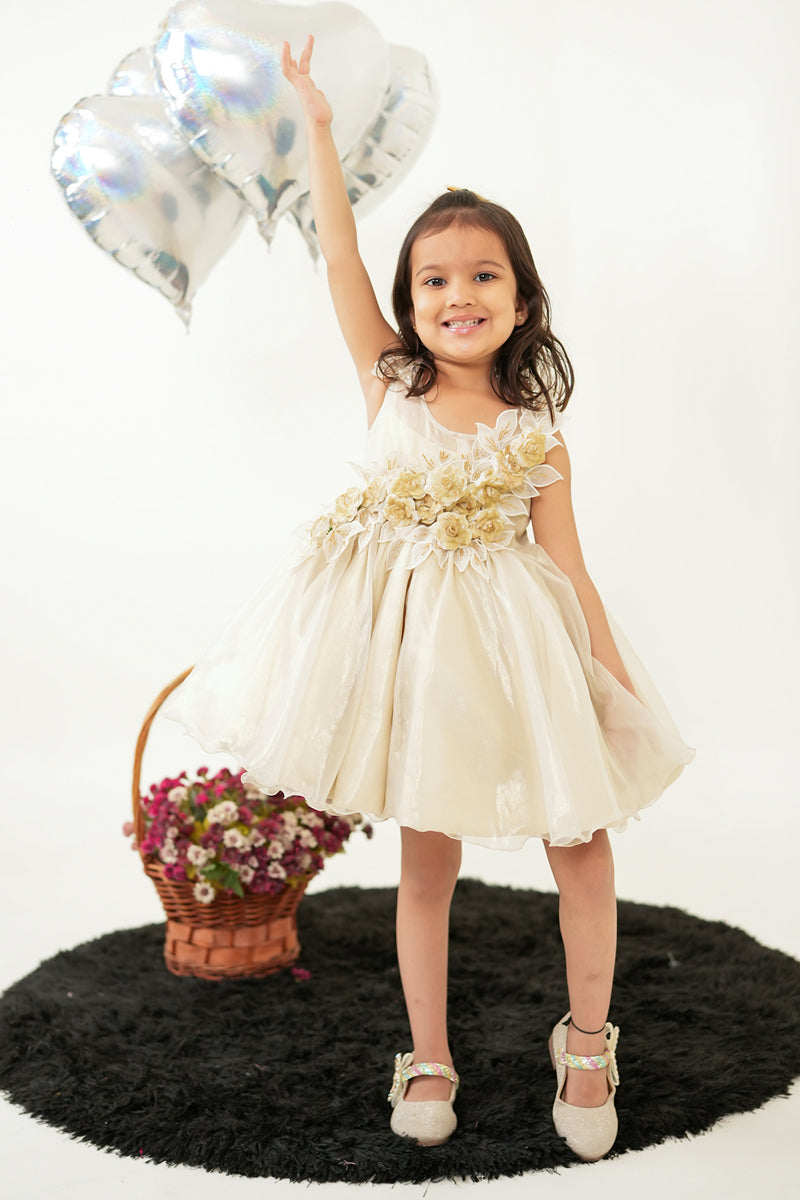 GOLDEN ROSES DRESS