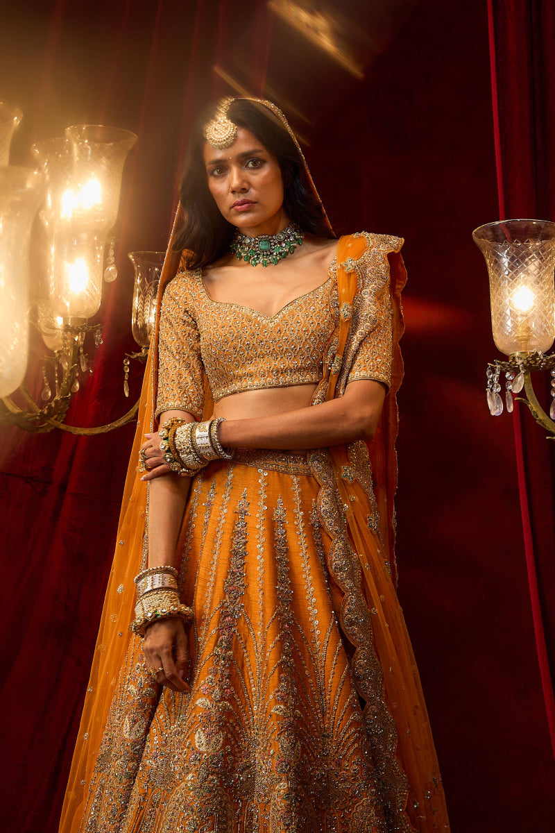 Rust Raw Silk Hand & Machine Embroidered Lehenga Set