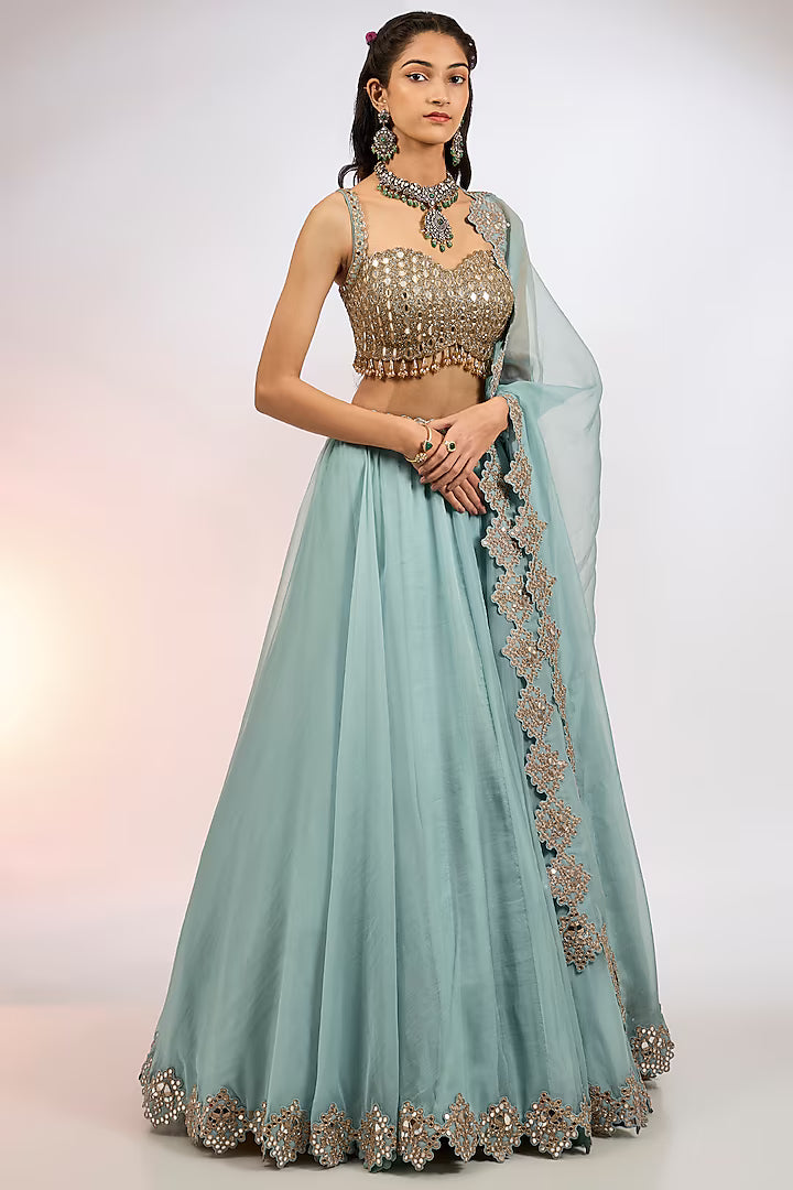 Powder Blue Organza Hand Embroidered Lehenga Set