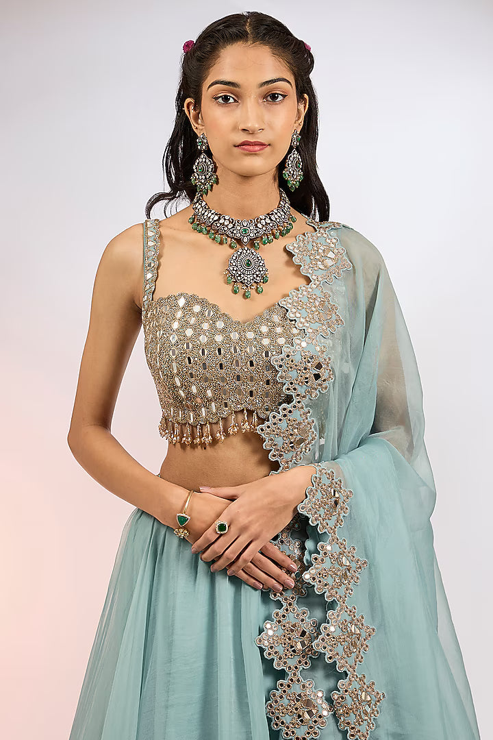 Powder Blue Organza Hand Embroidered Lehenga Set