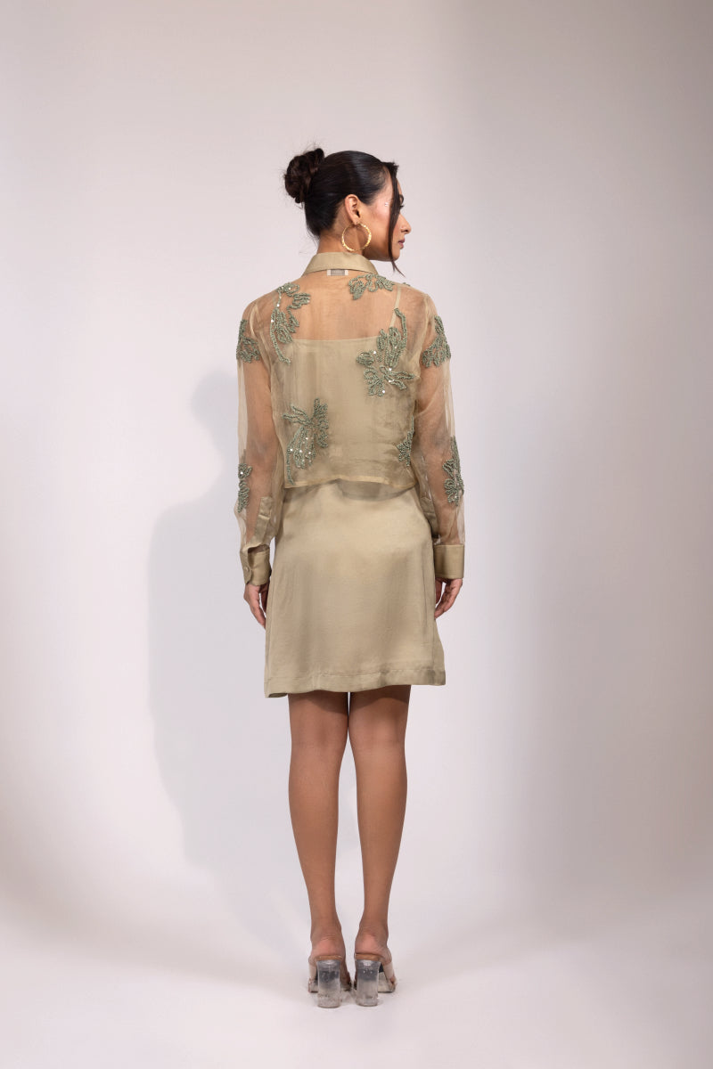 Sage Green Organza Overlay Set