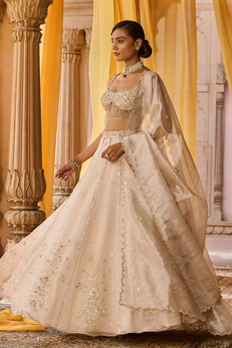 Lehenga Set