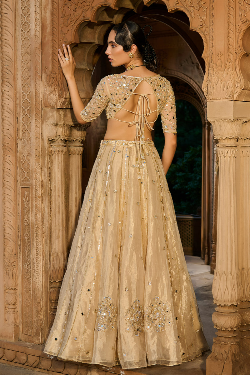 Lehenga Set