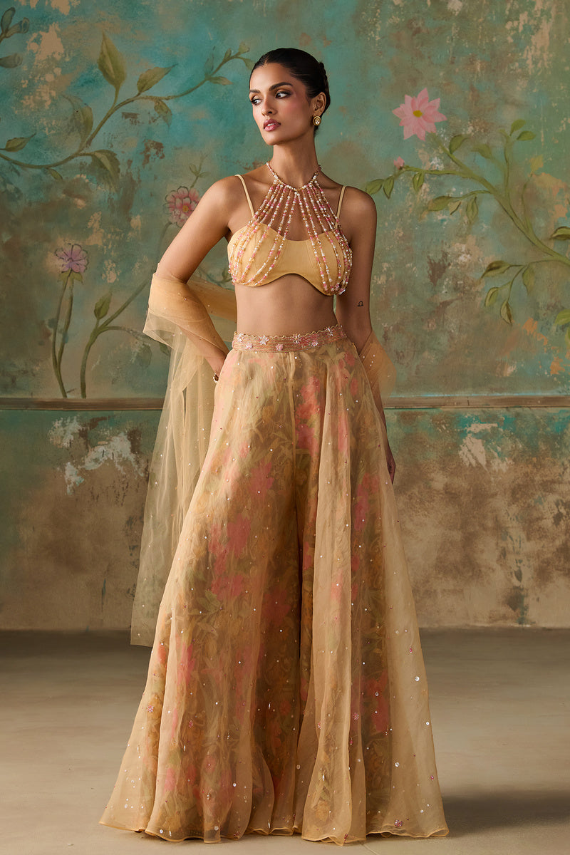 Sharara Set