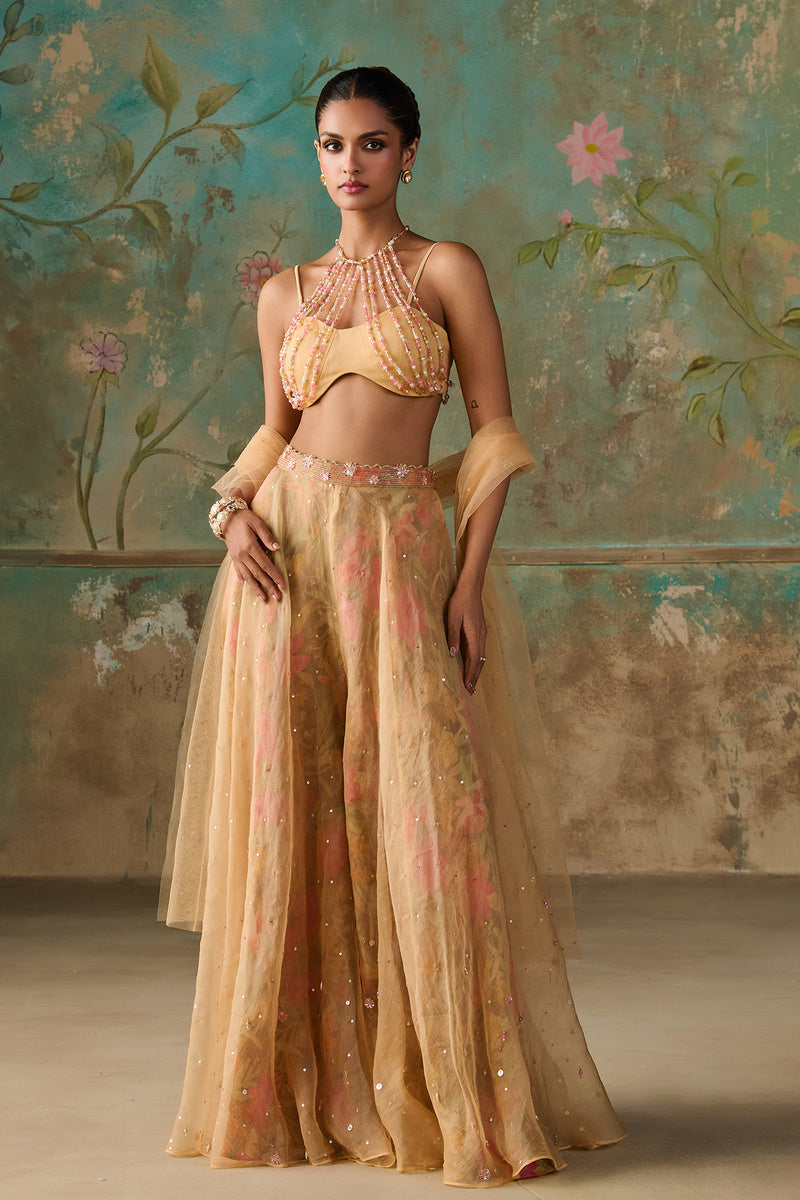 Sharara Set