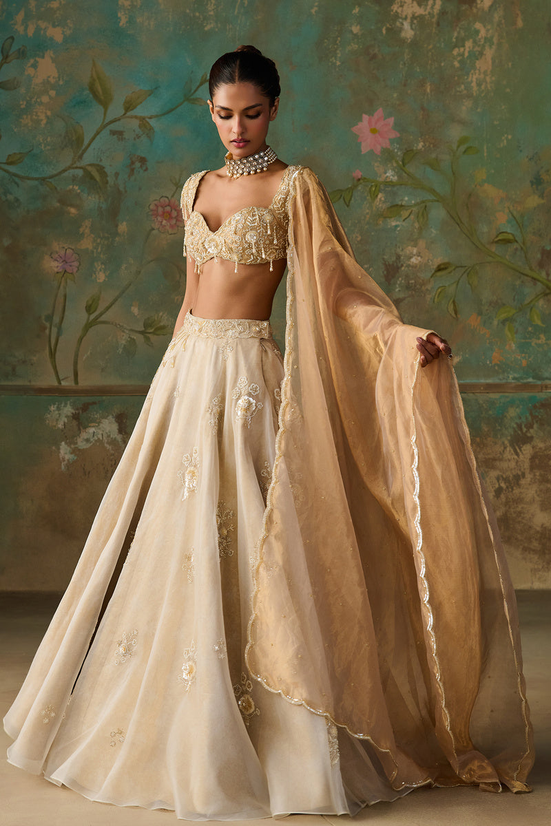 Lehenga Set