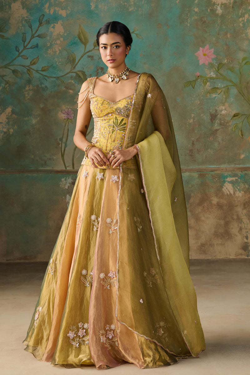 Lehenga Set