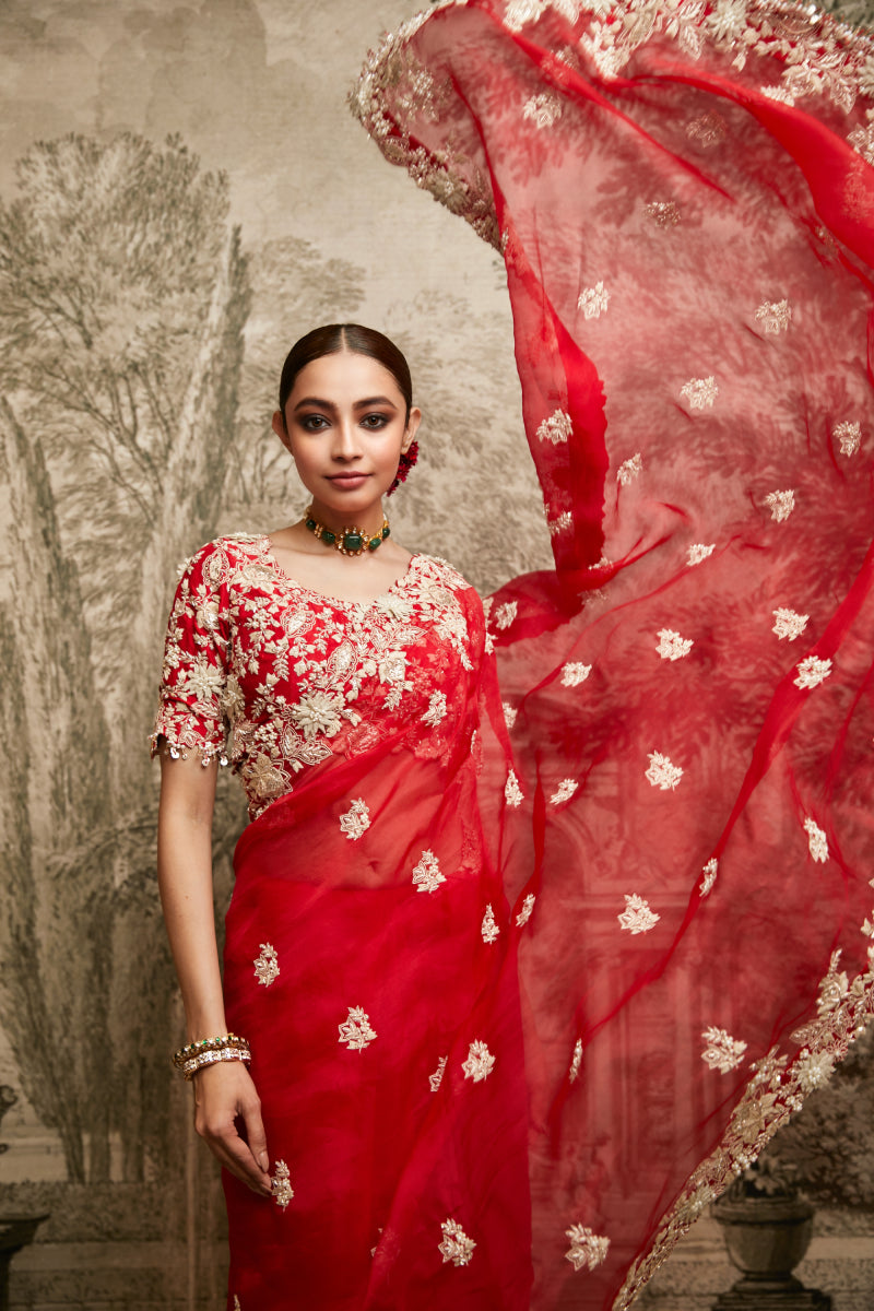 Saree And Blouse