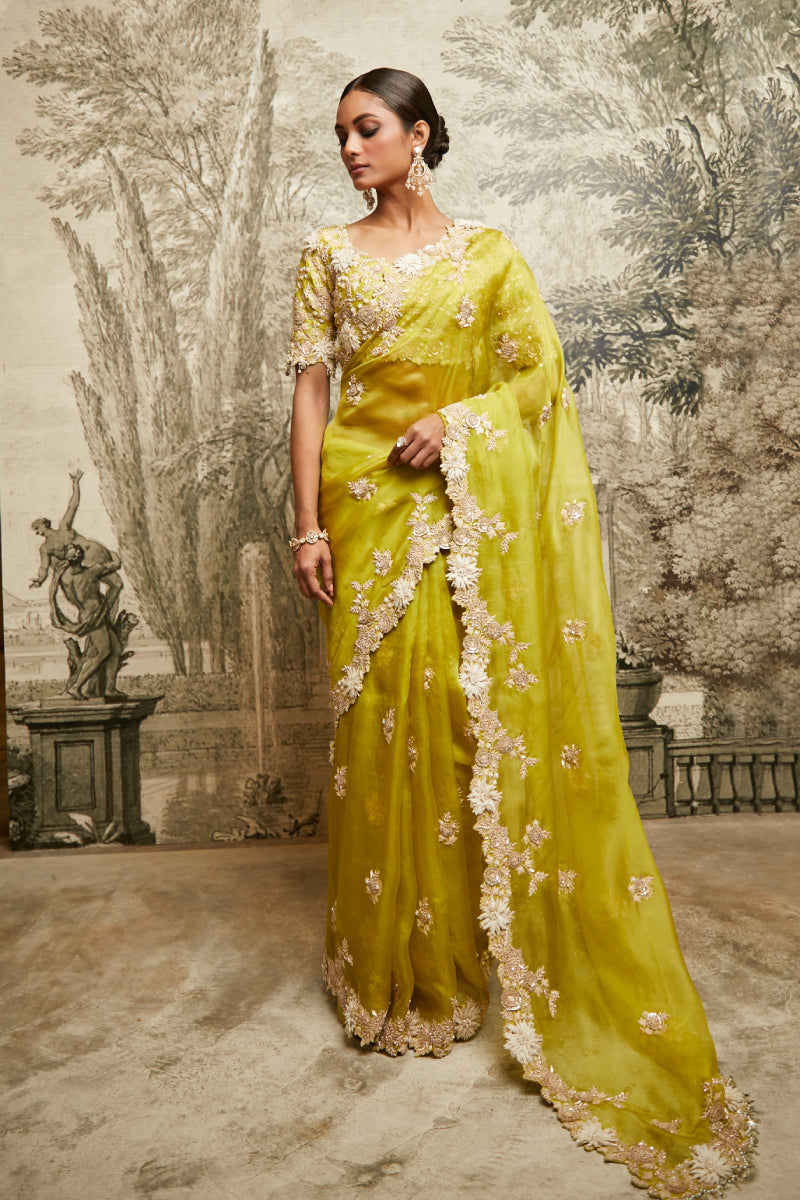 Saree And Blouse