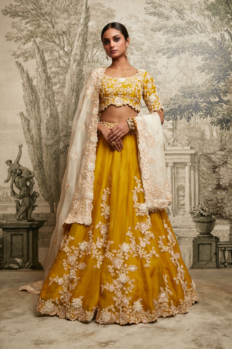 Lehenga, Dupatta And Blouse